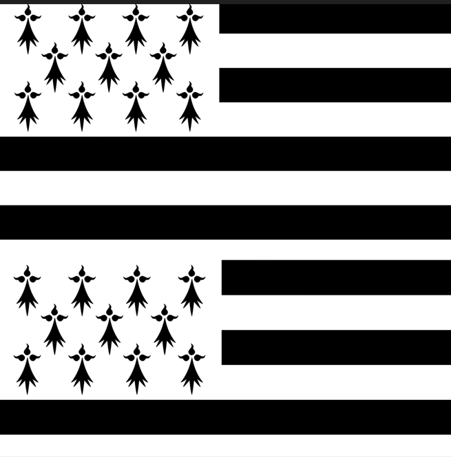 Tissu Drapeau Breton Oeko-Tex 100% Coton